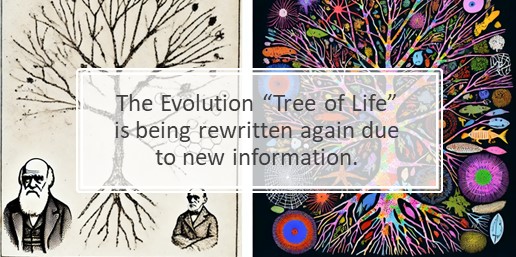 The Evolution "Tree of Life" is being rewritten again due to new information.