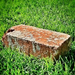 brick-in-grass