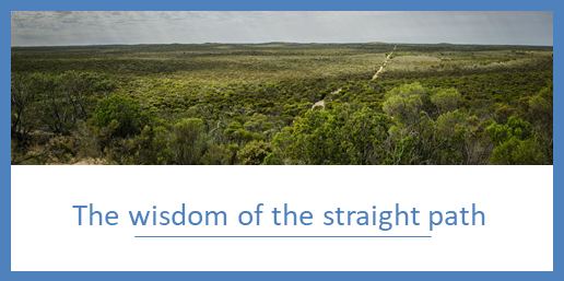 The wisdom of the straight path