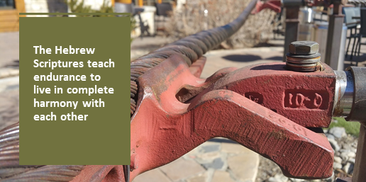 The Hebrew Scriptures teach endurance to live in complete harmony with each other