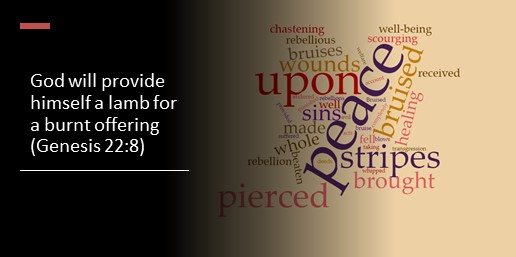 God will provide himself a lamb for a burnt offering(Genesis 22:8)