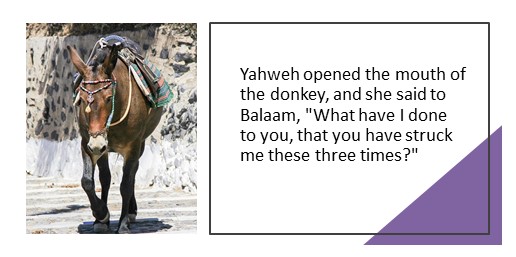 Yahweh opened the mouth of the donkey, and she said to Balaam, "What have I done to you, that you have struck me these three times?"