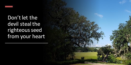 Don’t let the devil steal the righteous seed from your heart
