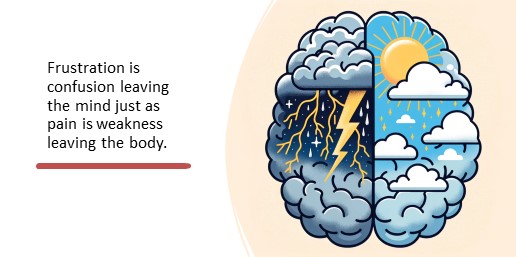 Frustration is confusion leaving the mind just as pain is weakness leaving the body.